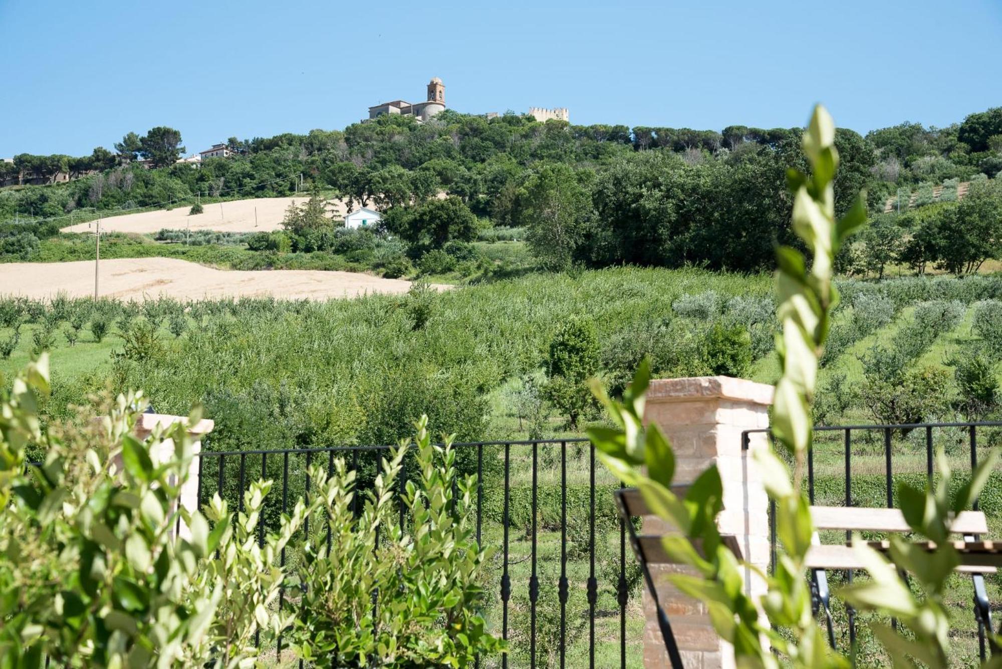 Queen Appartamenti E Camere Campofilone Exterior foto